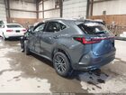 2025 Lexus Nx 350 Premium Gray vin: 2T2GGCEZ7SC083076
