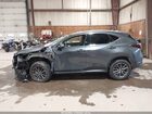 2025 Lexus Nx 350 Premium Gray vin: 2T2GGCEZ7SC083076