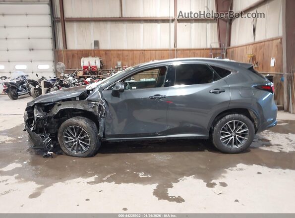 2T2GGCEZ7SC083076 2025 LEXUS NX 350 Gray Widok wnętrza z tyłu