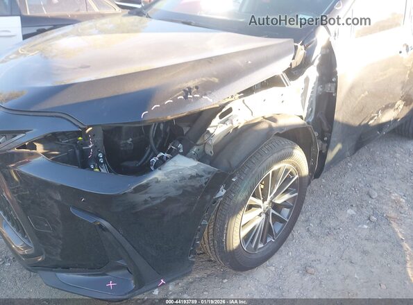 2T2GGCEZ8SC070451 2025 LEXUS NX 350 Black Widok z przodu