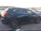 2025 Lexus Nx 350 Premium Black vin: 2T2GGCEZ8SC070451