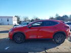 2025 Lexus Nx 350 Premium Red vin: 2T2GGCEZ9SC093138