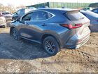 2023 Lexus Nx 350 Premium Gray vin: 2T2GGCEZXPC024837