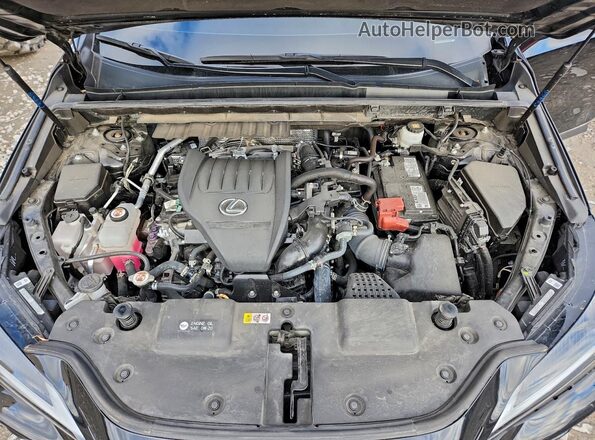 2T2GGCEZXRC036988 2024 LEXUS NX Черный Вид подкапотного пространства