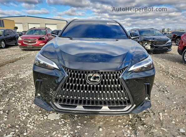 2T2GGCEZXRC036988 2024 LEXUS NX Черный Вид спереди