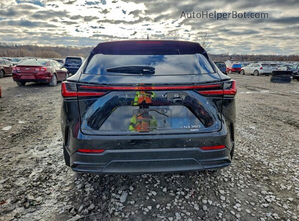 2T2GGCEZXRC036988 2024 LEXUS NX Черный Вид сзади