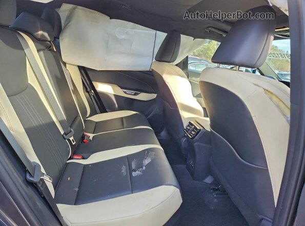 2T2GKCEZ2PC011546 2023 LEXUS NX Black Vista interior trasera