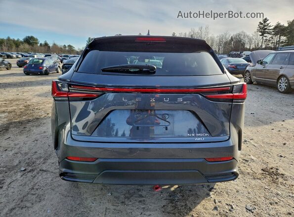 2T2GKCEZ2PC011546 2023 LEXUS NX Black Vista trasera