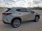 2023 Lexus Nx 350h Silver vin: 2T2GKCEZ5PC012786