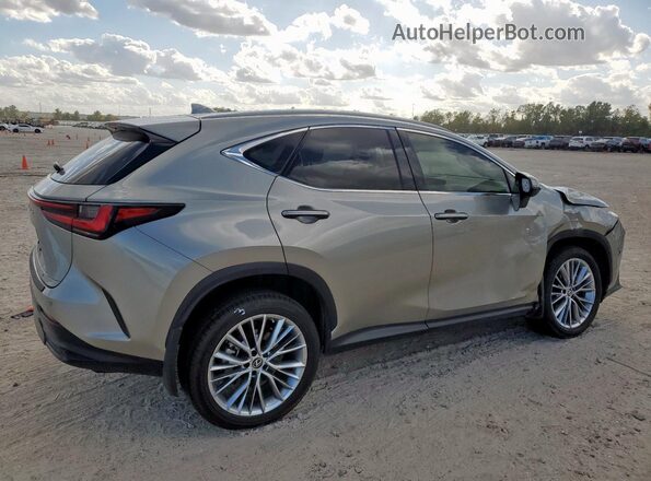2T2GKCEZ5PC012786 2023 LEXUS NX Silver Задня права чверть