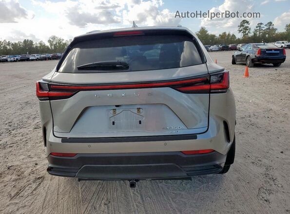 2T2GKCEZ5PC012786 2023 LEXUS NX Silver Вид ззаду