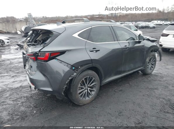 2T2GKCEZ7SC041067 2025 LEXUS NX 350H Gray უკანა მარჯვენა