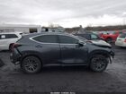 2025 Lexus Nx 350h Premium Gray vin: 2T2GKCEZ7SC041067 2025 Lexus Nx 350h Premium Gray vin: 2T2GKCEZ7SC041067
