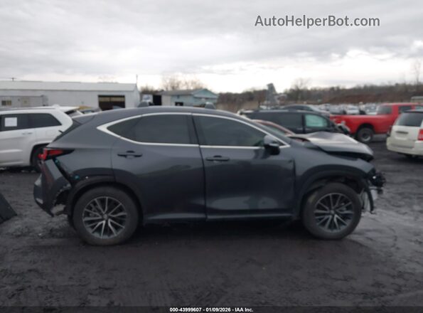 2T2GKCEZ7SC041067 2025 LEXUS NX 350H Gray უკანა სალონის ხედი