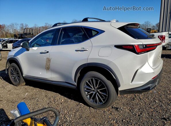2T2GKCEZ8PC011728 2023 LEXUS NX Белый Задняя левая четверть