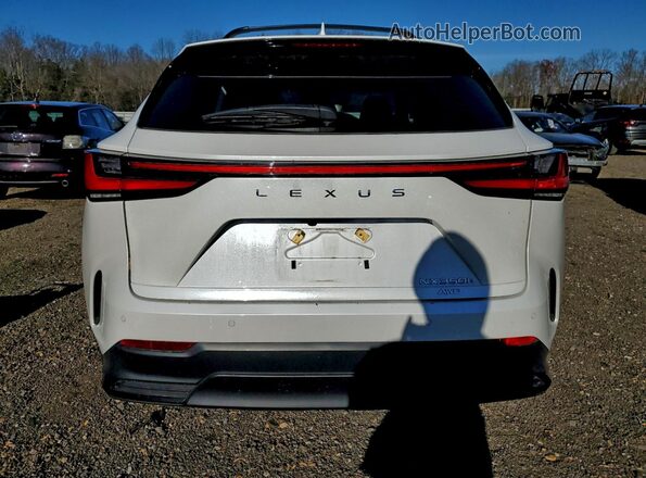 2T2GKCEZ8PC011728 2023 LEXUS NX Белый Вид сзади