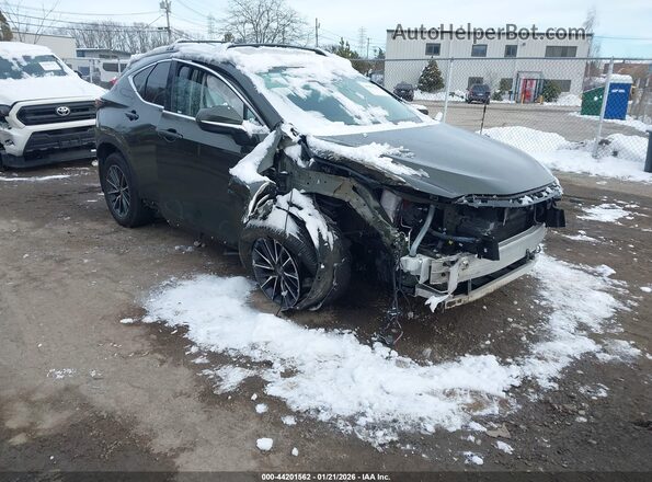 2T2GKCEZ9RC029769 2024 LEXUS NX 350H Зеленый Передняя правая четверть
