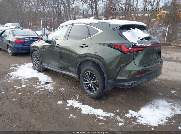 2T2GKCEZ9RC029769 2024 LEXUS NX 350H Зеленый Задняя левая четверть