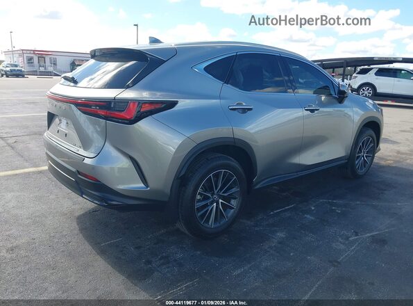 2T2HGCEZ0SC076281 2025 LEXUS NX 350 Gray უკანა მარჯვენა