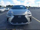 2025 Lexus Nx 350 Luxury Gray vin: 2T2HGCEZ0SC076281