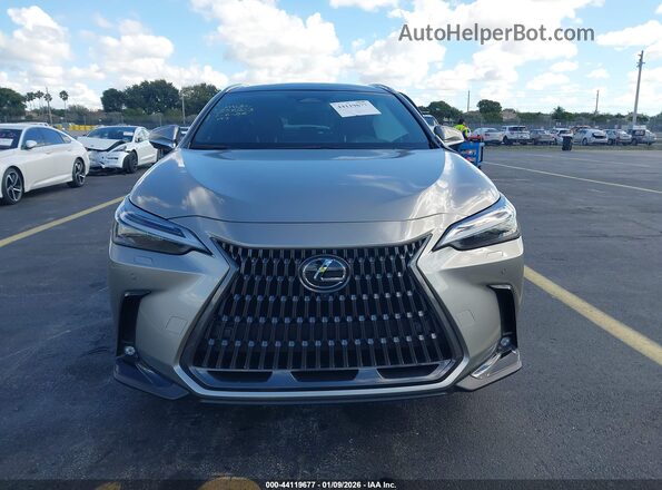 2T2HGCEZ0SC076281 2025 LEXUS NX 350 Gray უკანა სალონის ხედი