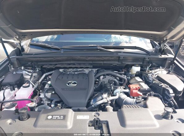 2T2HGCEZ0SC076281 2025 LEXUS NX 350 Gray უკანა ხედი