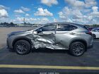 2025 Lexus Nx 350 Luxury Gray vin: 2T2HGCEZ0SC076281