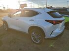 2024 Lexus Nx 350 Luxury White vin: 2T2HGCEZ1RC048676