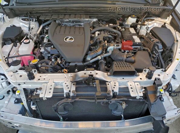 2T2HGCEZ1RC048676 2024 LEXUS NX White ძრავის განყოფილების ხედი