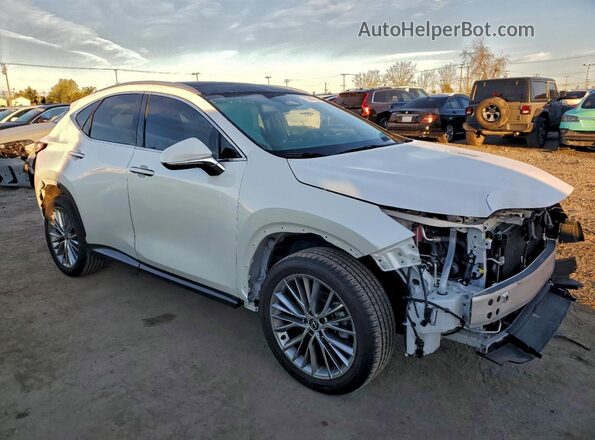 2T2HGCEZ1RC048676 2024 LEXUS NX White წინა მარჯვენა