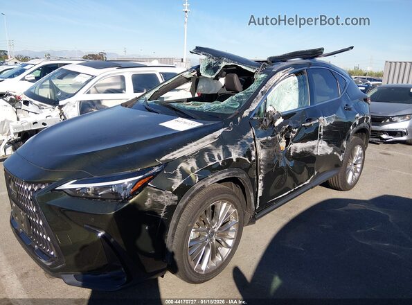 2T2HGCEZ2PC025324 2023 LEXUS NX 350 Green Widok z przodu