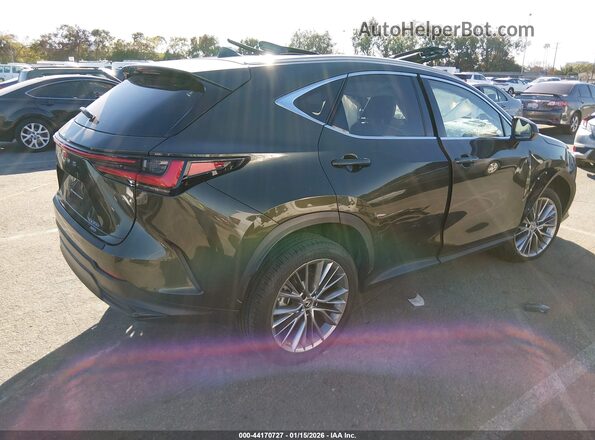 2T2HGCEZ2PC025324 2023 LEXUS NX 350 Green Tył prawy