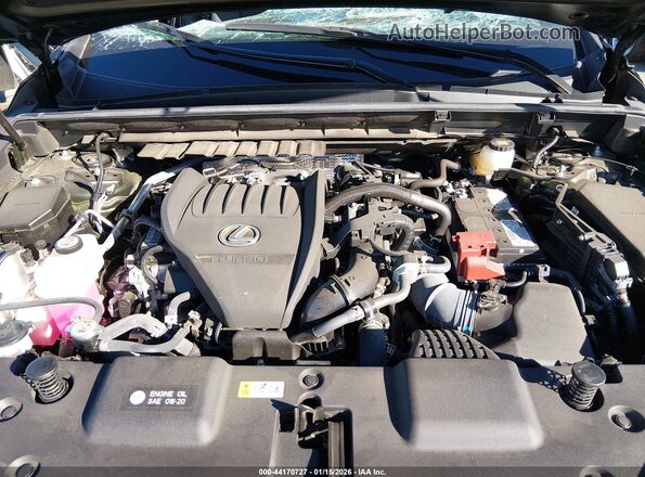 2T2HGCEZ2PC025324 2023 LEXUS NX 350 Green Widok z tyłu