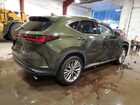 2023 Lexus Nx 350 Luxury Зеленый vin: 2T2HGCEZXPC026110