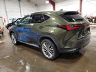 2023 Lexus Nx 350 Luxury Зеленый vin: 2T2HGCEZXPC026110