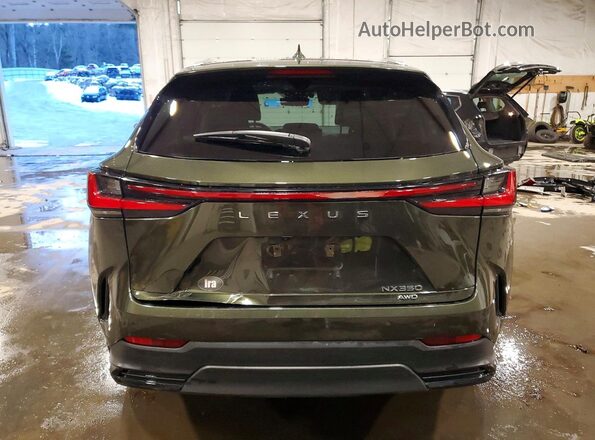 2T2HGCEZXPC026110 2023 LEXUS NX Зеленый Вид сзади