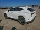 2026 Lexus Nx 350h Base White vin: 2T2HKCEZ1TC059537