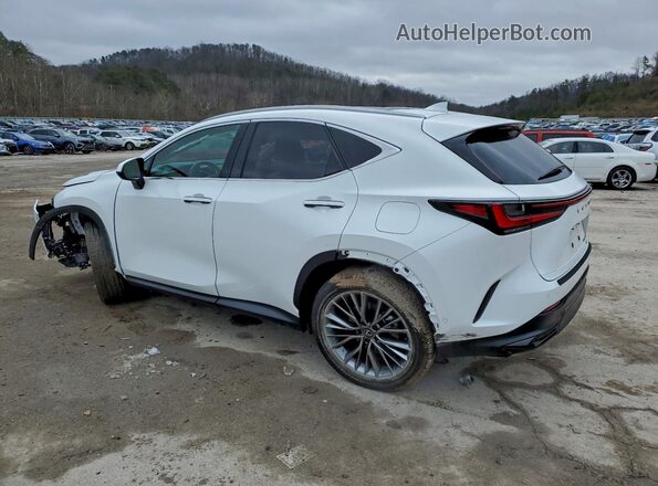 2T2HKCEZ4TC059807 2026 LEXUS NX Белый Задняя левая четверть