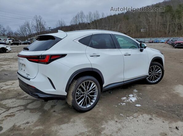 2T2HKCEZ4TC059807 2026 LEXUS NX Белый Задняя правая четверть