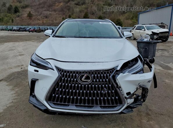 2T2HKCEZ4TC059807 2026 LEXUS NX Белый Вид спереди