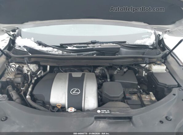 2T2HZMDAXLC214776 2020 LEXUS RX 350 Белый Вид сзади