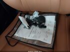2021 Lexus Rx 350   White vin: 2T2JZMDA6MC276050