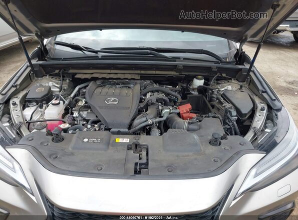 2T2KGCEZ5RC032289 2024 LEXUS NX 350 Серый Вид сзади
