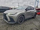 2023 Lexus Nx 350 Gray vin: 2T2KGCEZ6PC024716