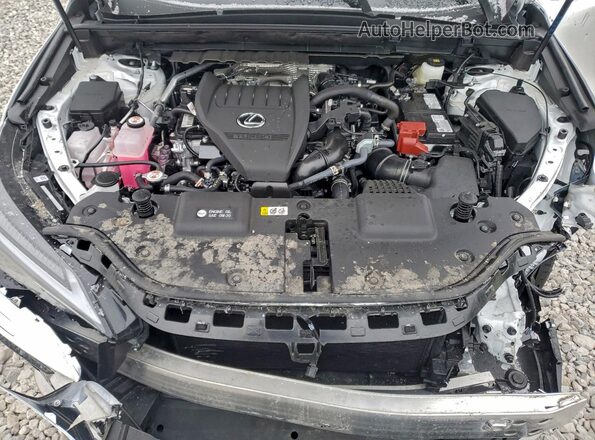 2T2KGCEZ8TC103752 2026 LEXUS NX White Widok komory silnika