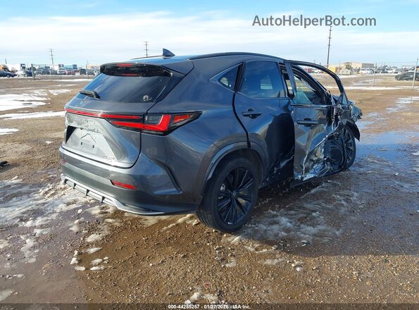2T2KGCEZXRC037472 2024 LEXUS NX 350 Gray Trasero derecho