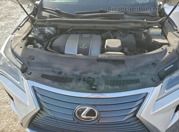 2T2ZZMCA2GC004796 2016 LEXUS RX Белый Вид задней части салона
