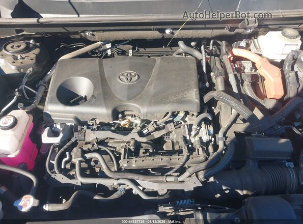 2T3E6RFV0PW042072 2023 TOYOTA RAV4 HYBRID Gray Widok z tyłu