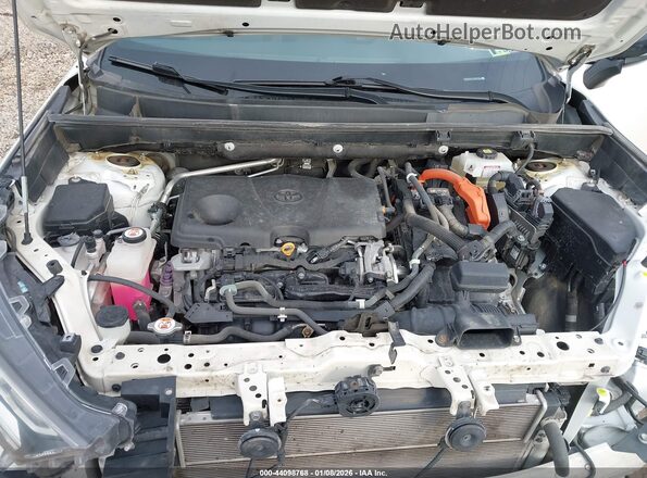2T3E6RFV7MW003619 2021 TOYOTA RAV4 HYBRID Белый Вид сзади