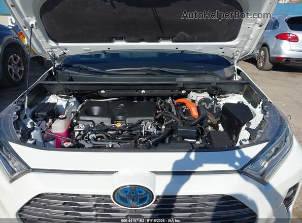 2T3EWRFV1LW047355 2020 TOYOTA RAV4 HYBRID White უკანა ხედი